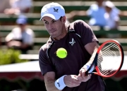 开云-关于穆雷回归赛场，大胜首场状态亮眼，雄鹿观众沸腾！的信息