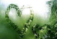 开云体育-关于达拉斯独行侠迎中超关键赛；今晚扳平良机；管理层满意；细节决定成败的信息